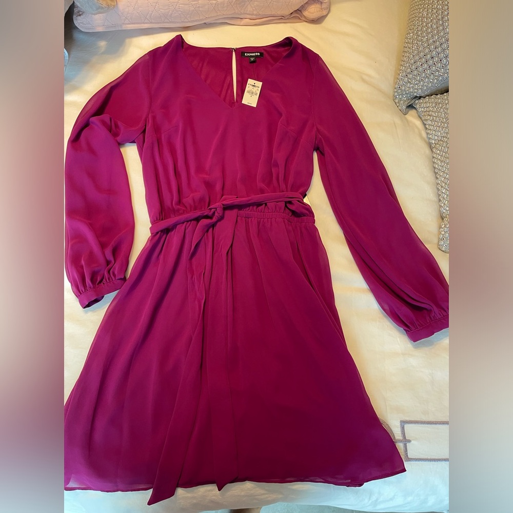 Express Fuchsia dress